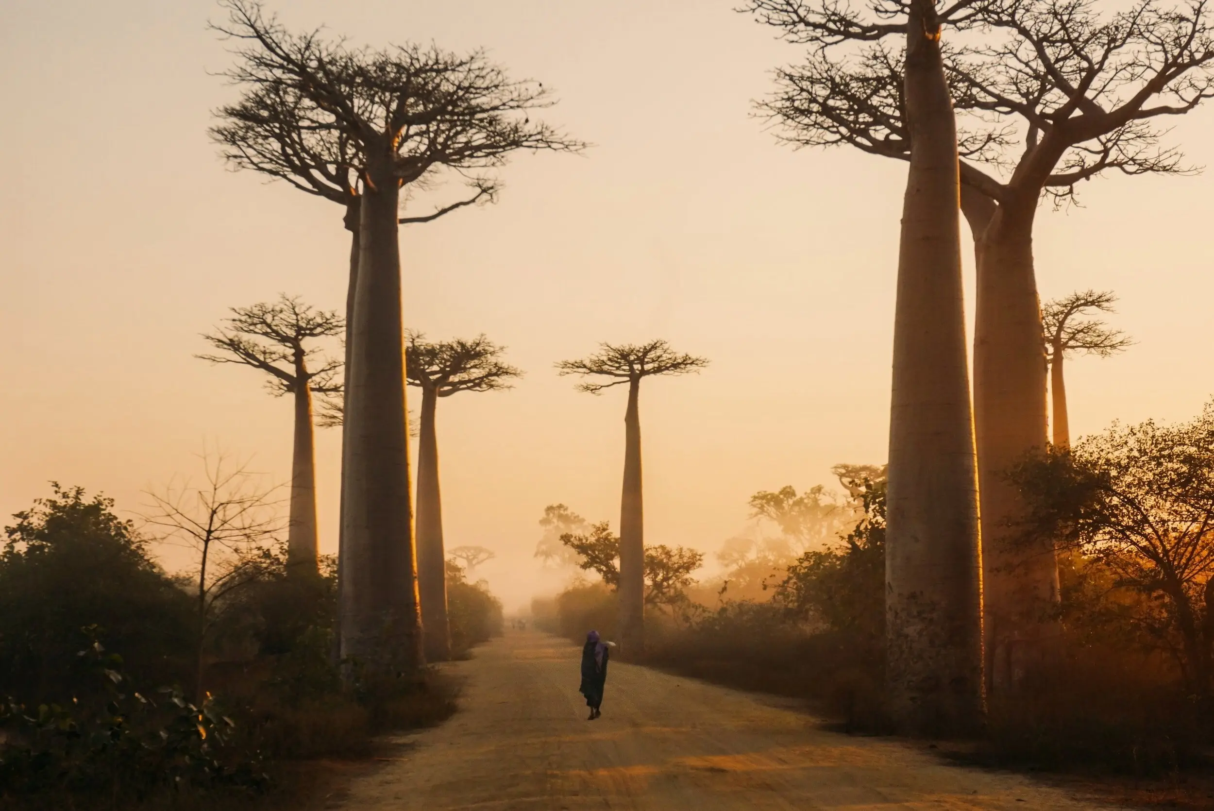 Africa travel destination